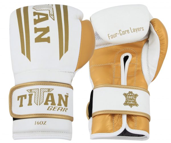 TITAN T10 LEATHER BOXING TRAINING GLOVES