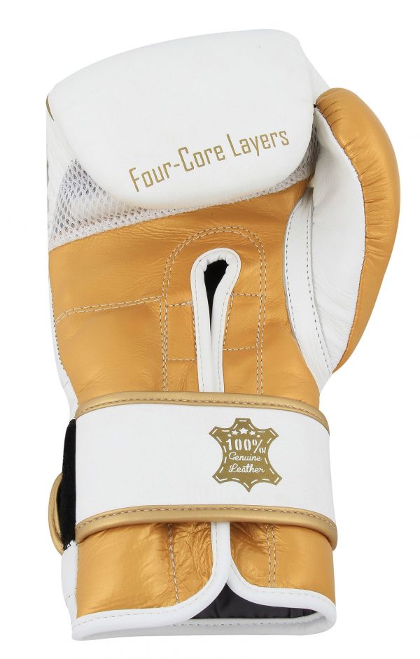 TITAN T10 LEATHER BOXING TRAINING GLOVES - Image 2